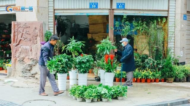 花都卖狗的市场在哪里(花都雅瑶市场有卖狗)