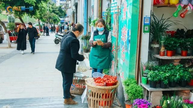 花都卖狗的市场在哪里(花都雅瑶市场有卖狗)