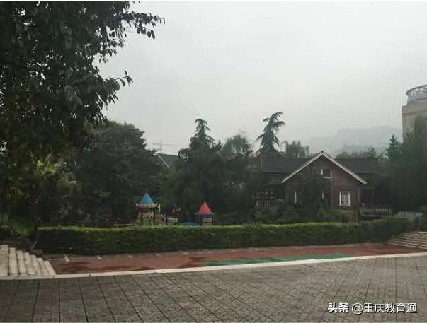 重庆茶园金科实验小学(重庆茶园金科世界城)