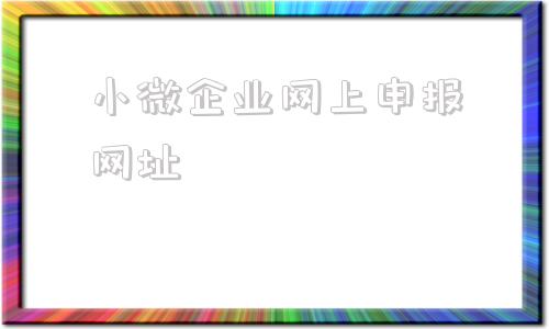 小微企业网上申报网址(小微企业增值税如何网上申报)