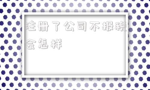 注册了公司不报税会怎样(刚注册的公司什么时候报税)