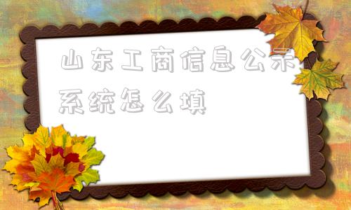 山东工商信息公示系统怎么填(山东工商信息公示系统官网)