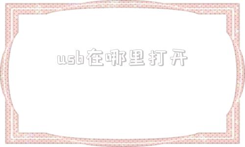 usb在哪里打开(电脑usb在哪里打开)