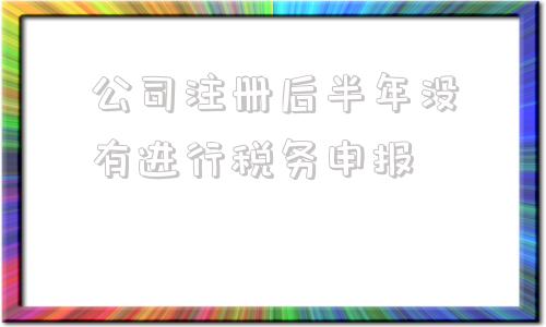 公司注册后半年没有进行税务申报(公司注册后半年没有进行税务申报也没有经营)